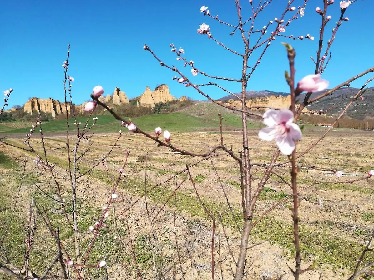 Agriturismo Botro Pulicciano Alloggio per agriturismo