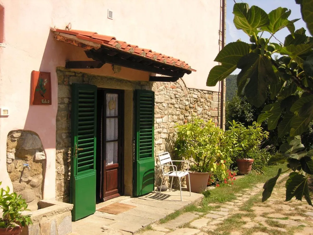 Agriturismo Botro Pulicciano