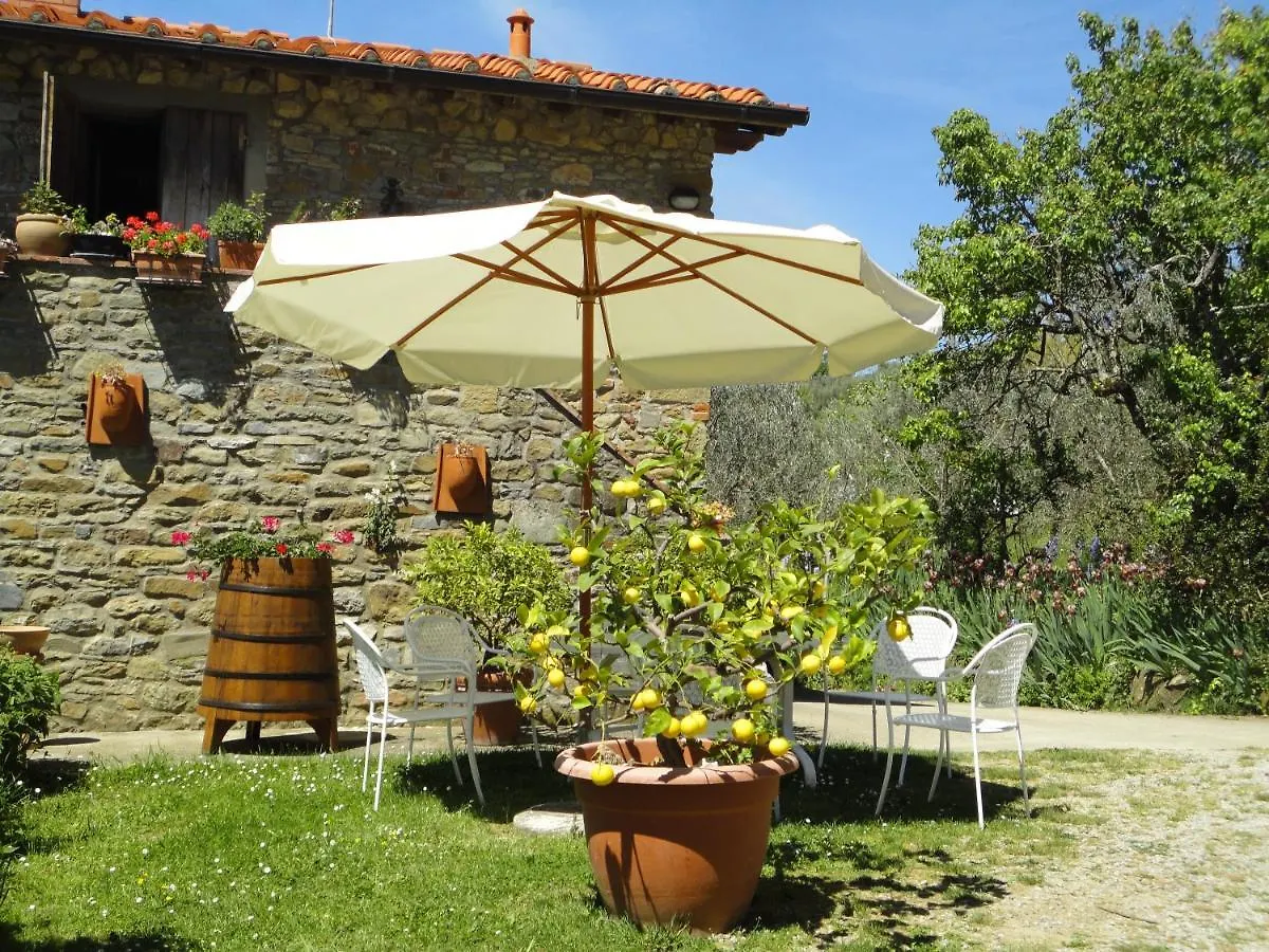 Farm stay Agriturismo Botro Pulicciano