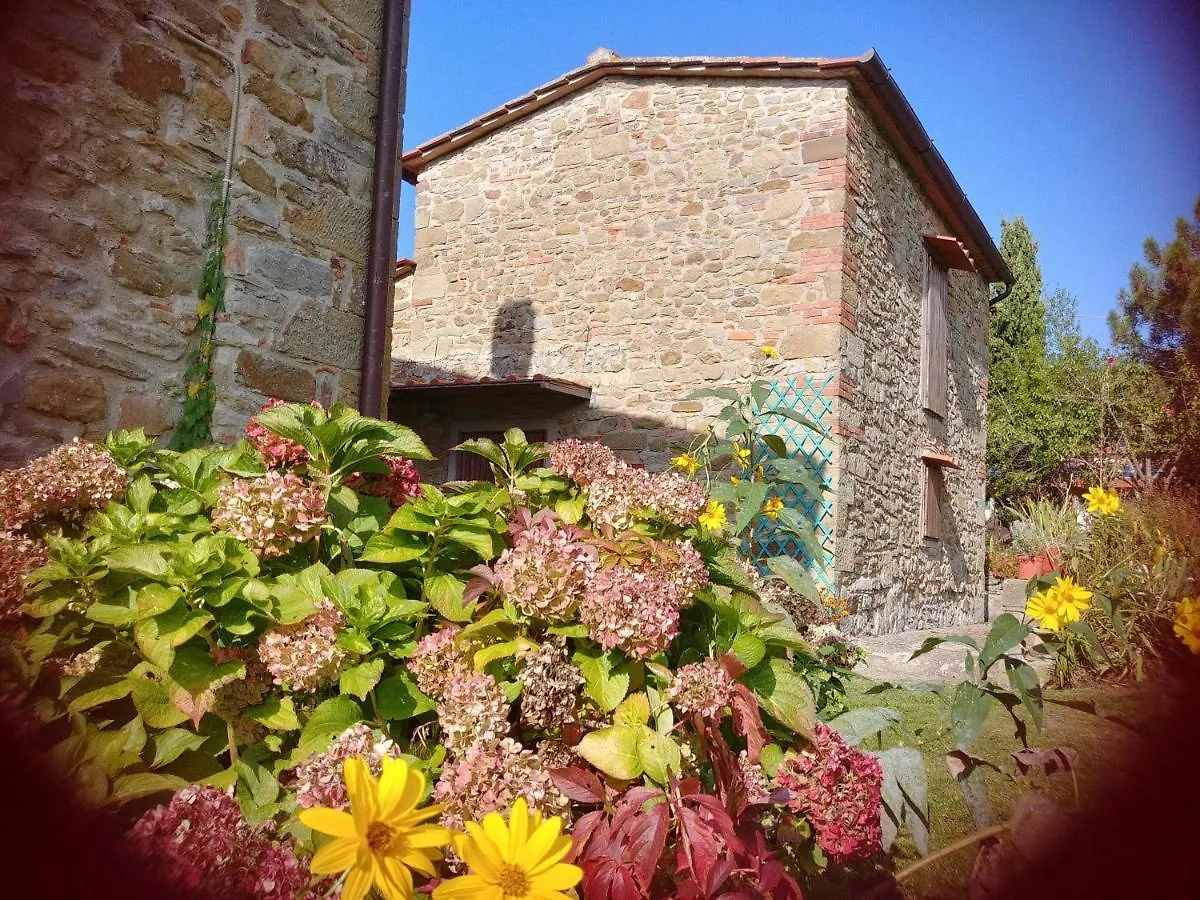 Agriturismo Botro Pulicciano